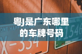 粤J是广东哪里的车牌号码  第1张