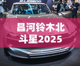 昌河铃木北斗星2025款价格  第1张