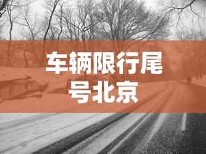 车辆限行尾号北京  第1张