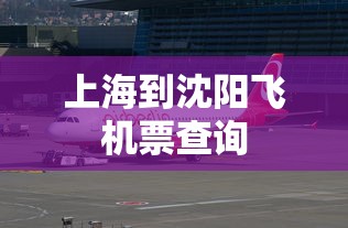 上海到沈阳飞机票查询  第1张