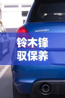 铃木锋驭保养灯怎么消除  第1张