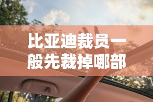 比亚迪裁员一般先裁掉哪部分人啊?怎么赔偿  第1张