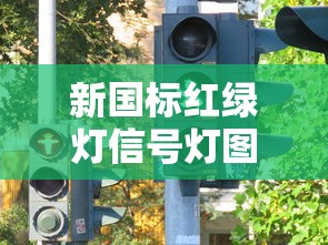 新国标红绿灯信号灯图解  第1张