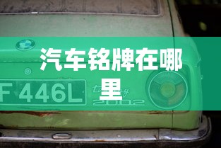 汽车铭牌在哪里  第1张