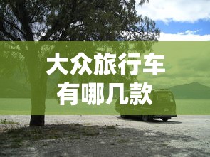 大众旅行车有哪几款  第1张