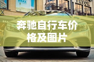奔驰自行车价格及图片  第1张