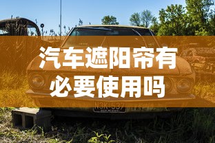 汽车遮阳帘有必要使用吗  第1张