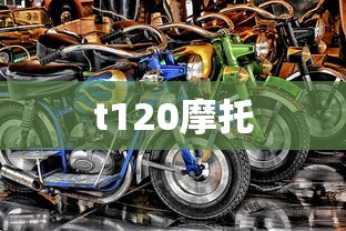 t120摩托  第1张