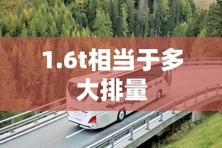 1.6t相当于多大排量  第1张