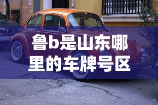 鲁b是山东哪里的车牌号区号  第1张
