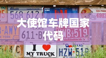 大使馆车牌国家代码  第1张