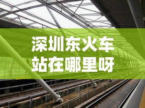 深圳东火车站在哪里呀  第1张