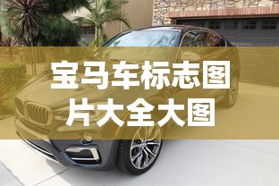 宝马车标志图片大全大图  第1张