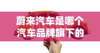 蔚来汽车是哪个汽车品牌旗下的?  第1张
