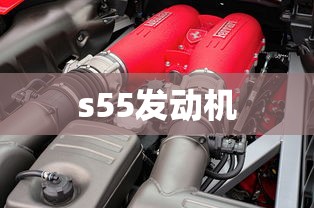 s55发动机  第1张