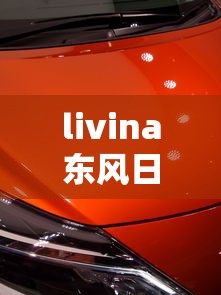 livina东风日产什么车  第1张