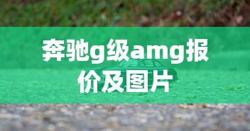 奔驰g级amg报价及图片  第1张