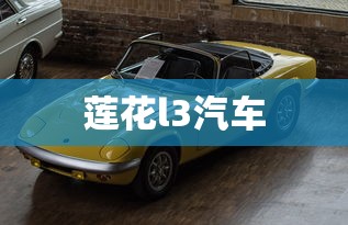 莲花l3汽车  第1张