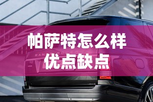 帕萨特怎么样优点缺点  第1张
