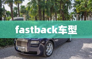 fastback车型  第1张