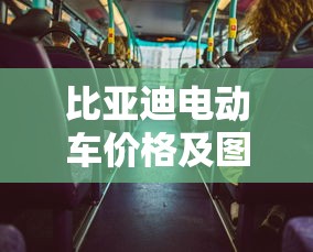 比亚迪电动车价格及图片  第1张