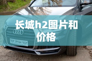 长城h2图片和价格  第1张