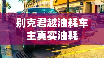 海外大熊猫分布情况  第1张