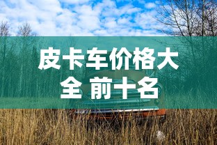 皮卡车价格大全 前十名  第1张