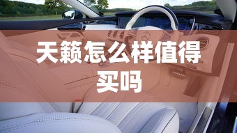 天籁怎么样值得买吗  第1张