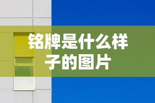 铭牌是什么样子的图片  第1张