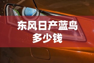 东风日产蓝鸟多少钱  第1张