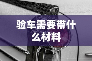 验车需要带什么材料  第1张