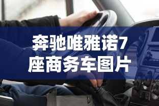 奔驰唯雅诺7座商务车图片  第1张