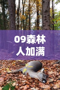 09森林人加满油多少升  第1张