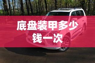 底盘装甲多少钱一次  第1张