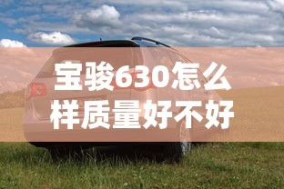 宝骏630怎么样质量好不好  第1张