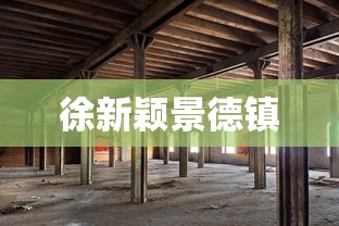 徐新颖景德镇  第1张