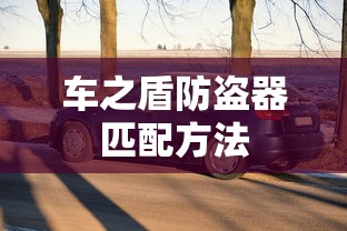 车之盾防盗器匹配方法  第1张