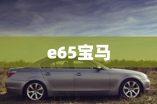 e65宝马  第1张