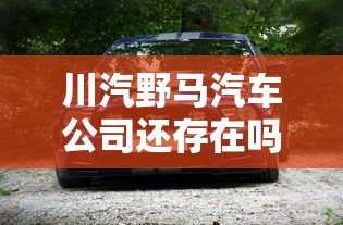 川汽野马汽车公司还存在吗  第1张