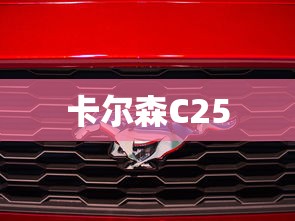 卡尔森C25  第1张