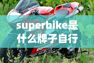 superbike是什么牌子自行车  第1张