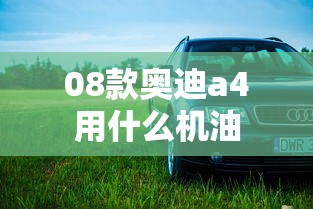 08款奥迪a4用什么机油  第1张