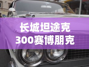 长城坦途克300赛博朋克版  第1张