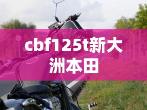 cbf125t新大洲本田  第1张