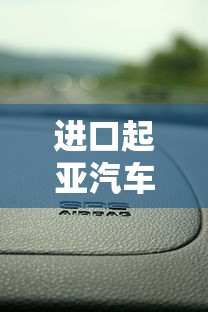进口起亚汽车官方网站  第1张