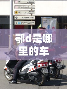 鄂d是哪里的车牌号码  第1张