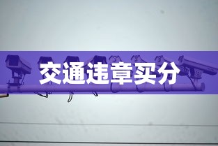 交通违章买分  第1张