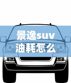 景逸suv油耗怎么样  第1张