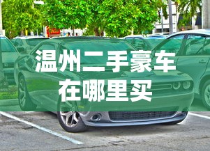温州二手豪车在哪里买  第1张
